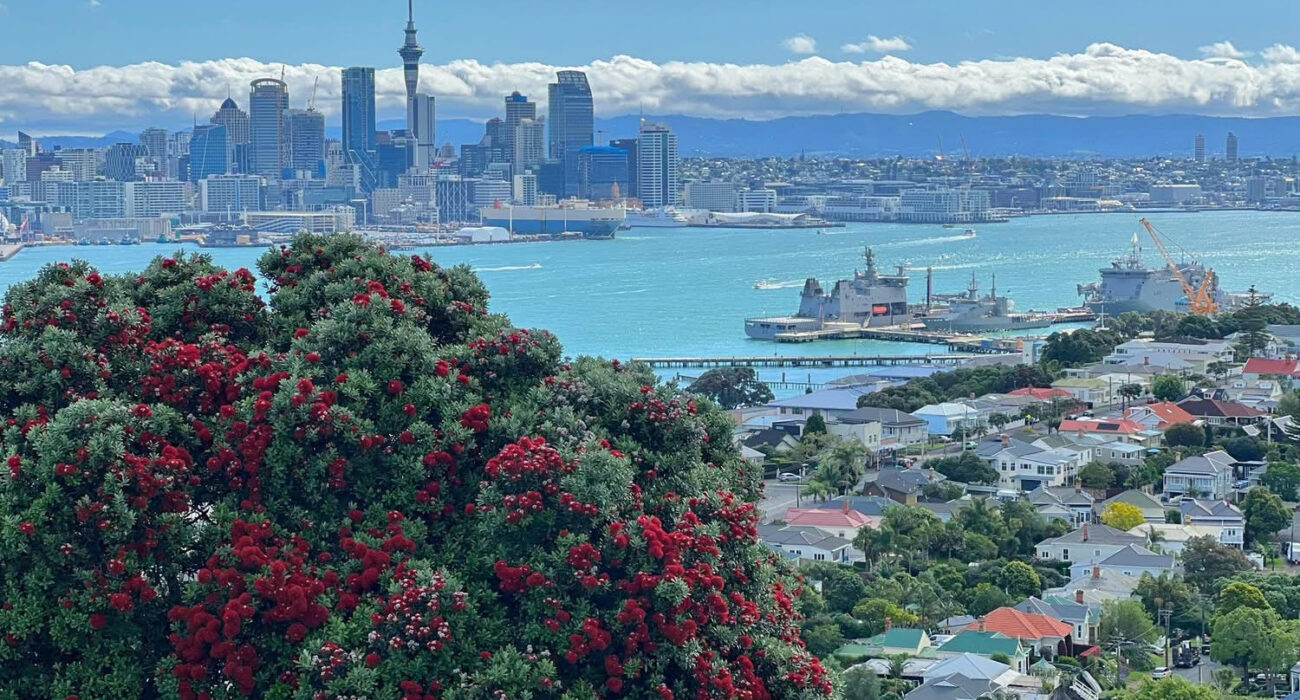 BUCKET LIST Taste of New Zealand Special - Image 2