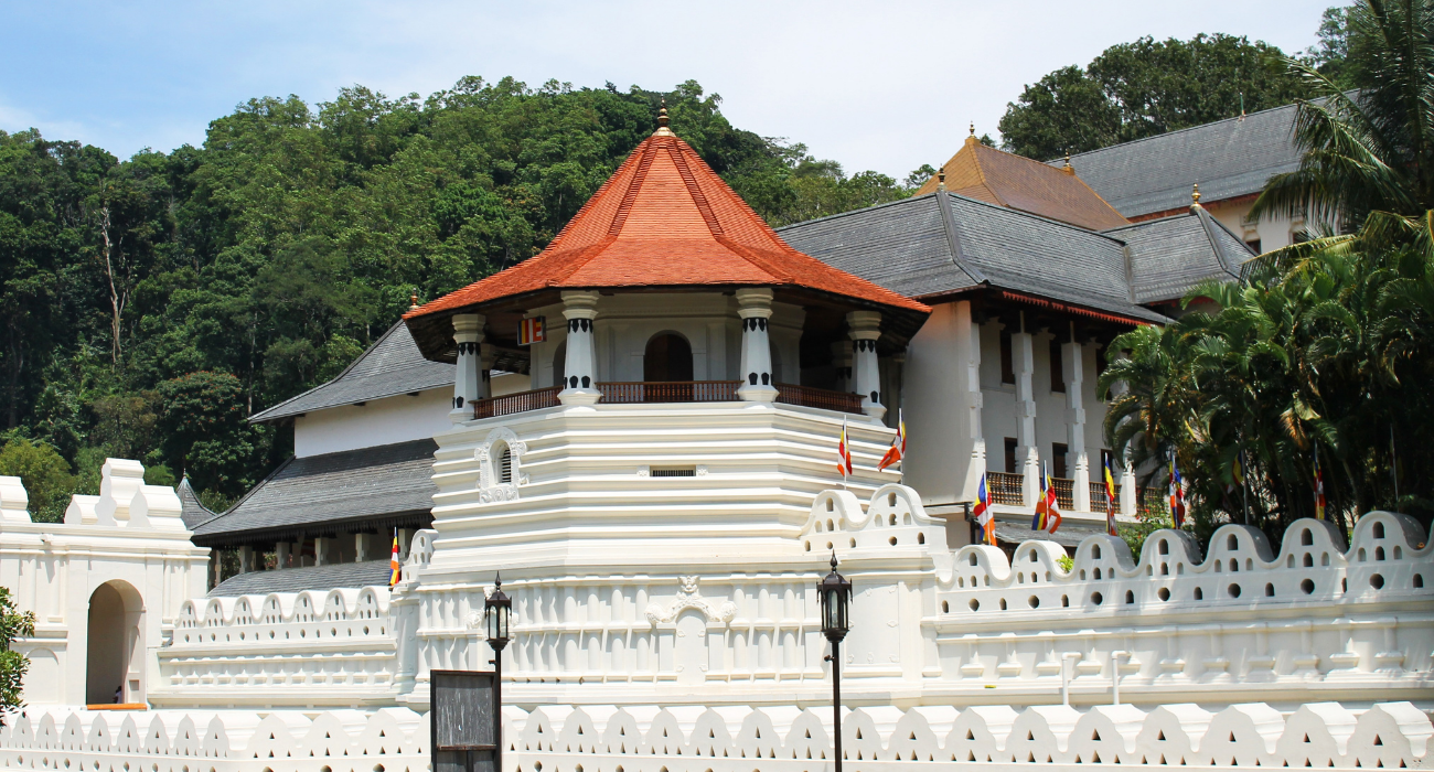 Spirit of Sri Lanka 2027 – Private Tour Special - Image 4