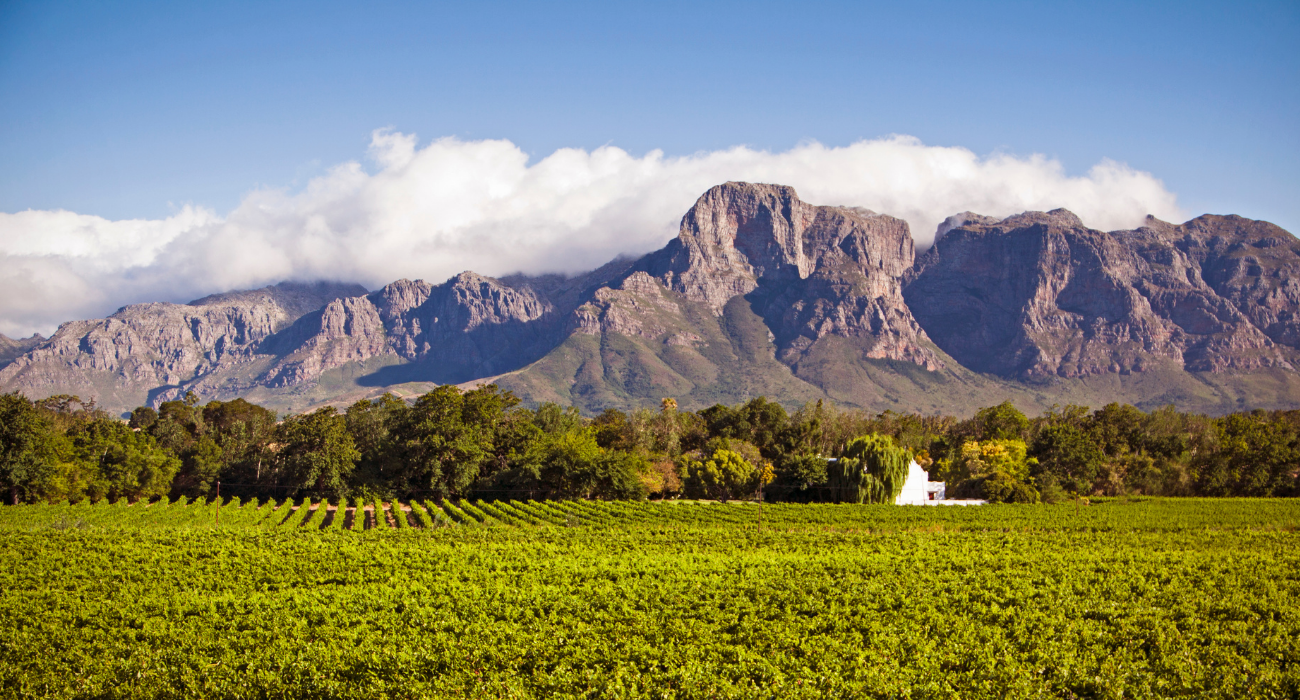 BUCKET LIST TRIP: SOUTH AFRICA GATEWAY - Image 4