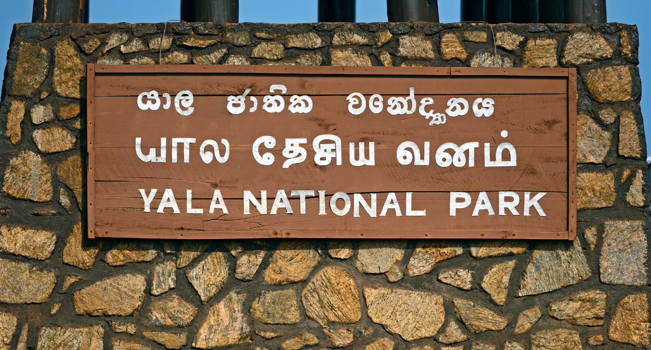 Spirit of Sri Lanka 2027 – Private Tour Special - Image 5