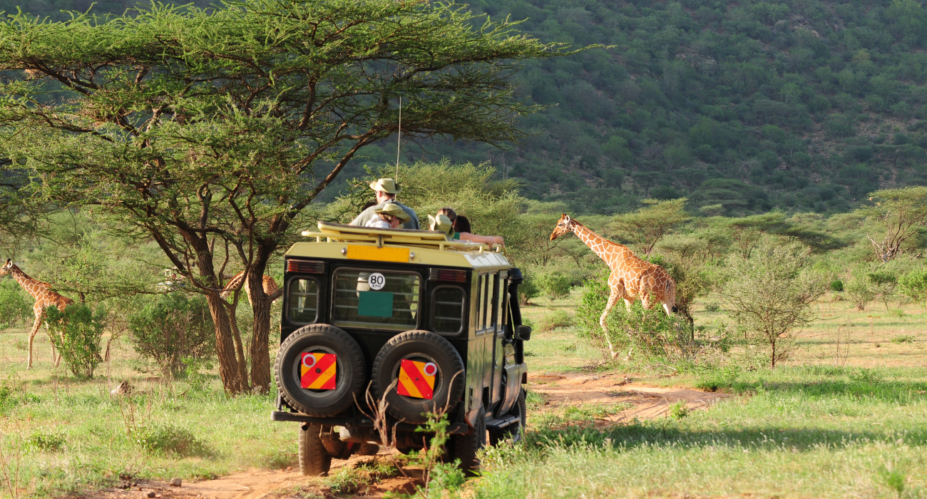 BUCKET LIST TRIP: SOUTH AFRICA GATEWAY - Image 5