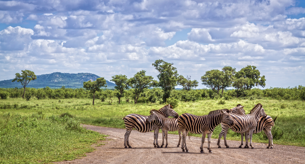 BUCKET LIST TRIP: SOUTH AFRICA GATEWAY - Image 6