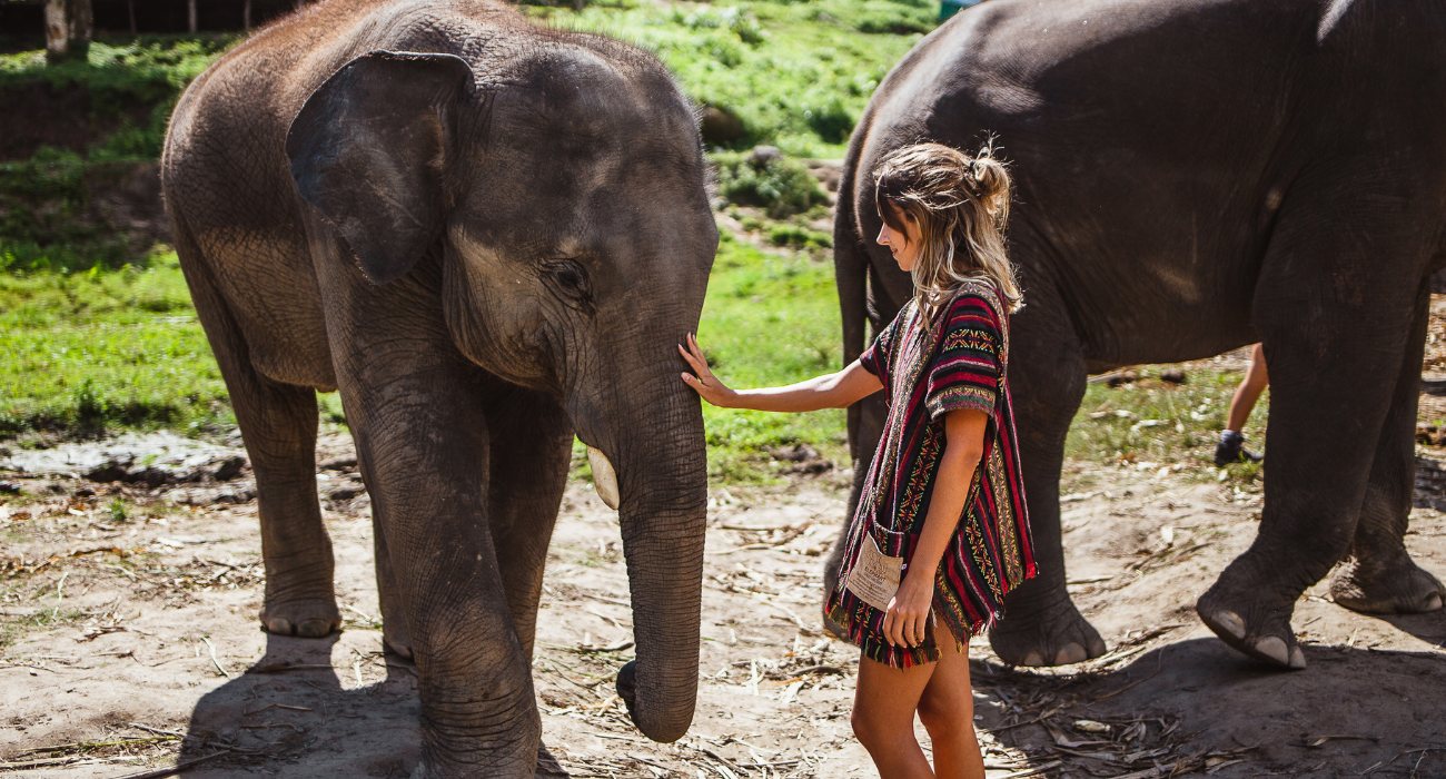Phi Phi Island + Phuket, Thailand + Excursions - Image 7