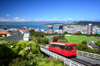 Australia & New Zealand cruise on board NCL SPIRIT - Image 7