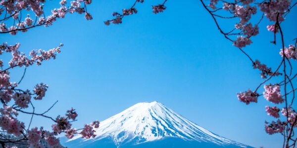 Fabulous Japan BUCKET LIST Trip
