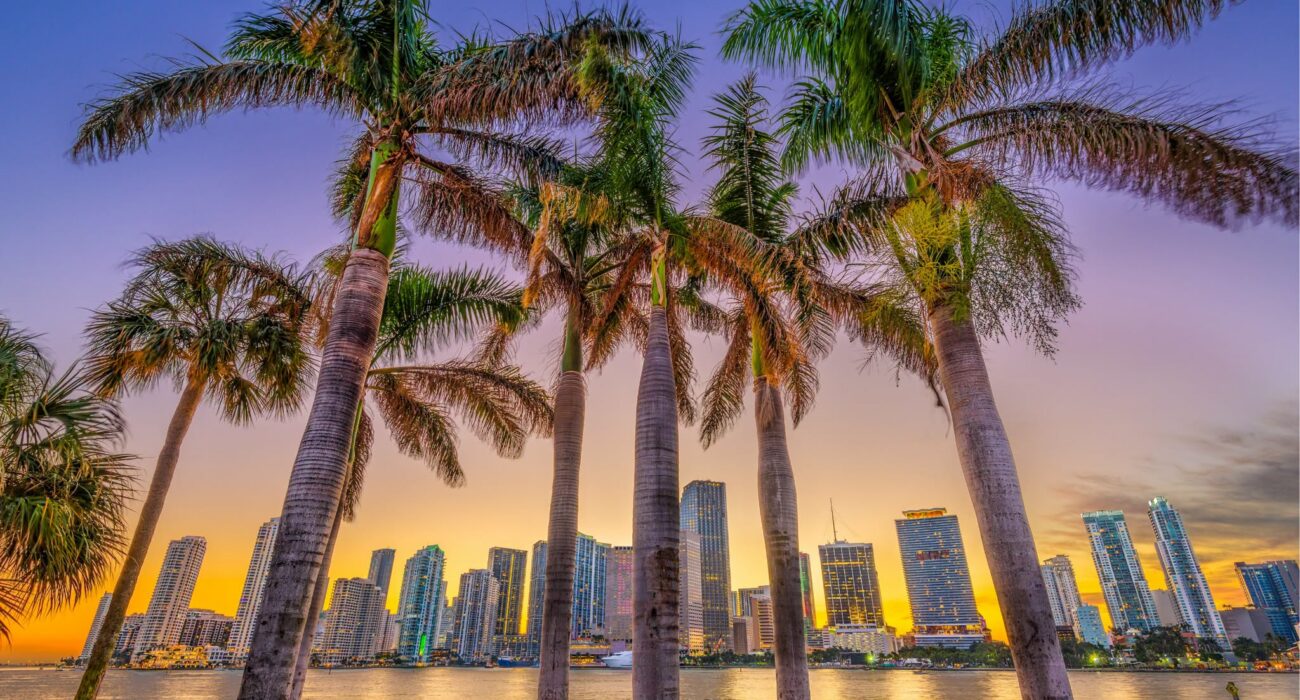 CARIBBEAN CRUISE & MIAMI STAY BARGAIN - Image 6