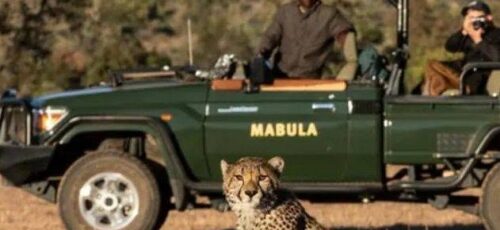 BUCKET LIST ….. On Safari in South Africa