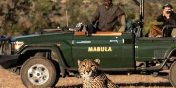 BUCKET LIST ….. On Safari in South Africa