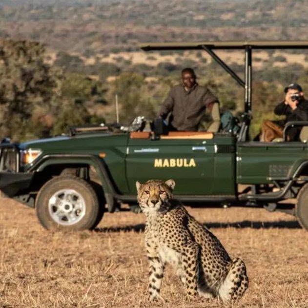 BUCKET LIST ….. On Safari in South Africa - Image 1