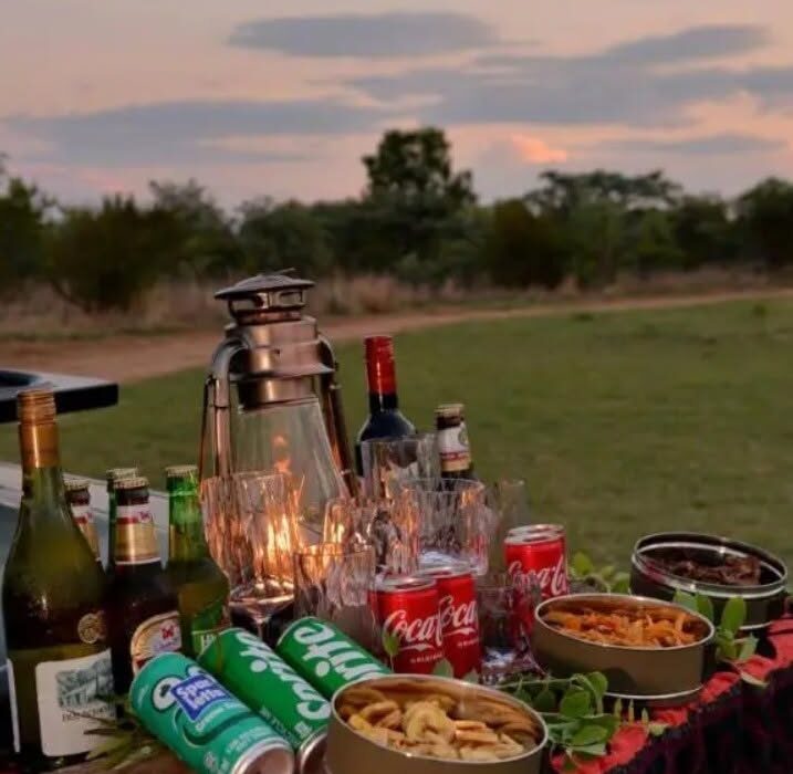 BUCKET LIST ….. On Safari in South Africa - Image 5