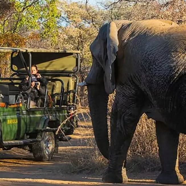BUCKET LIST ….. On Safari in South Africa - Image 2