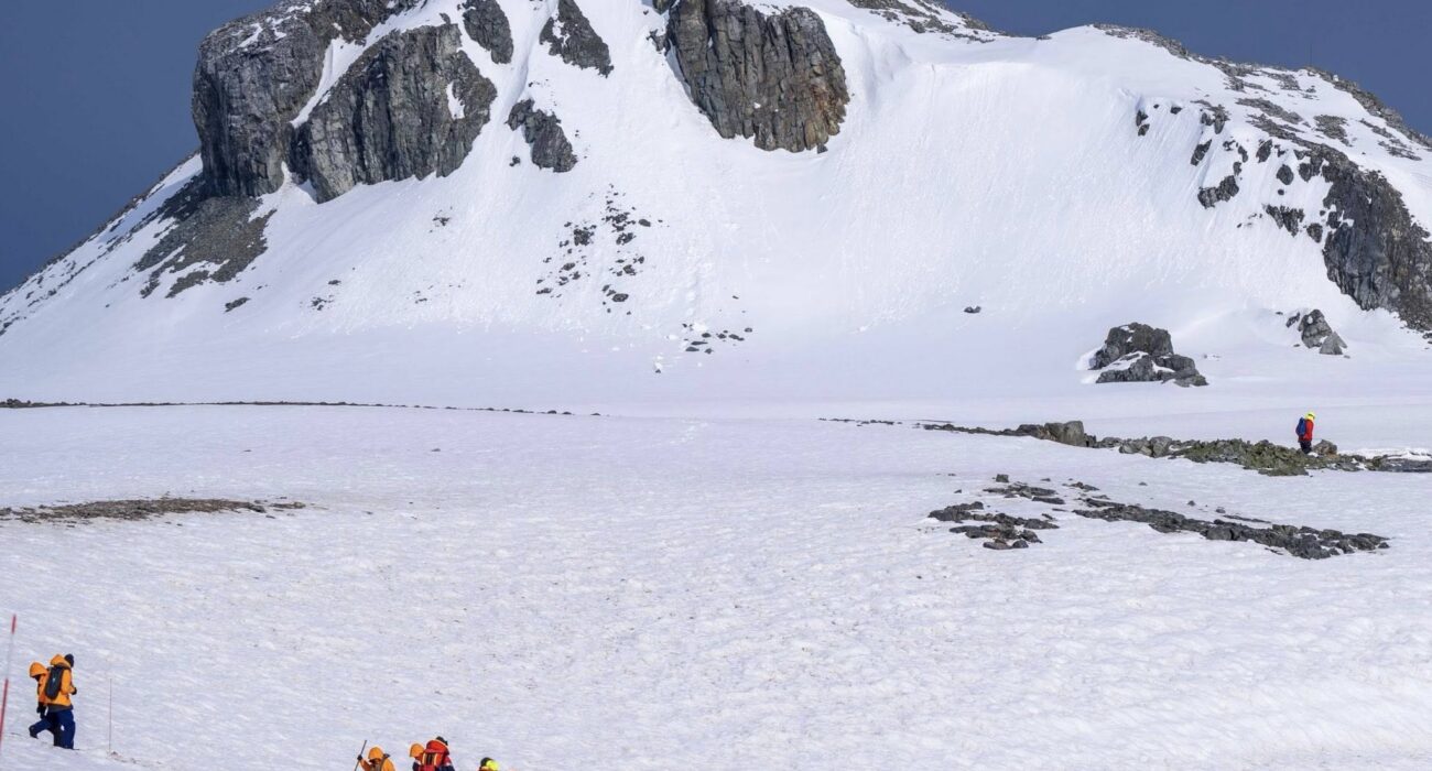The Great White Continent WIth Seabourn - Image 4