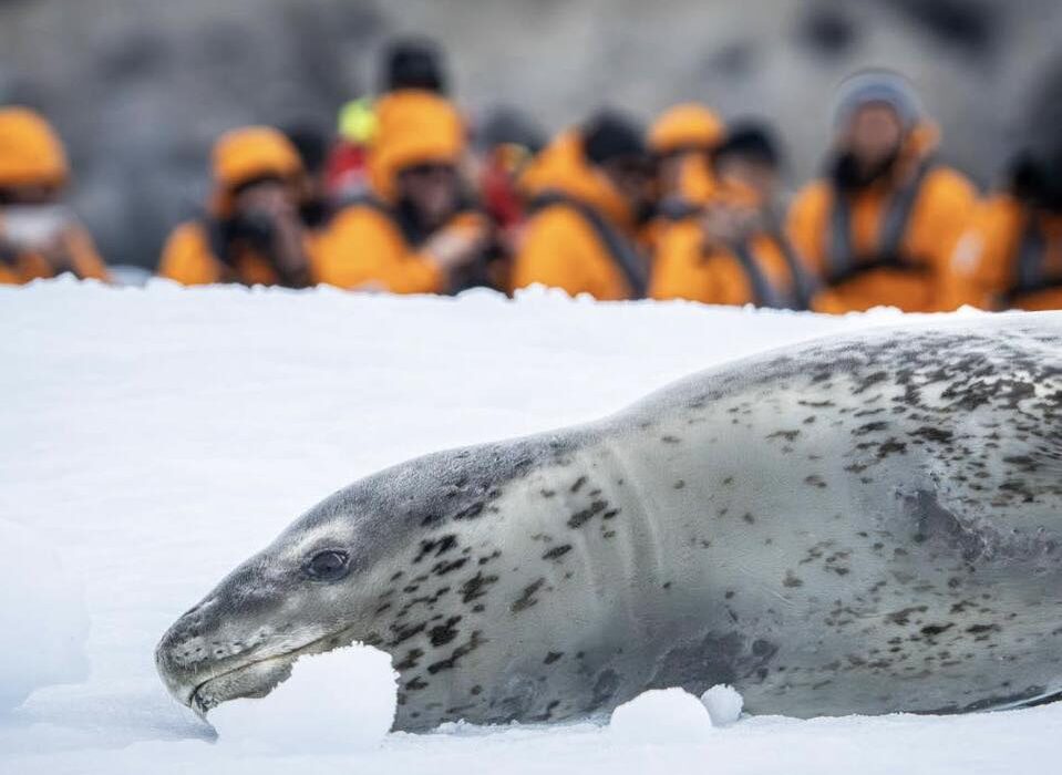 The Great White Continent WIth Seabourn - Image 2
