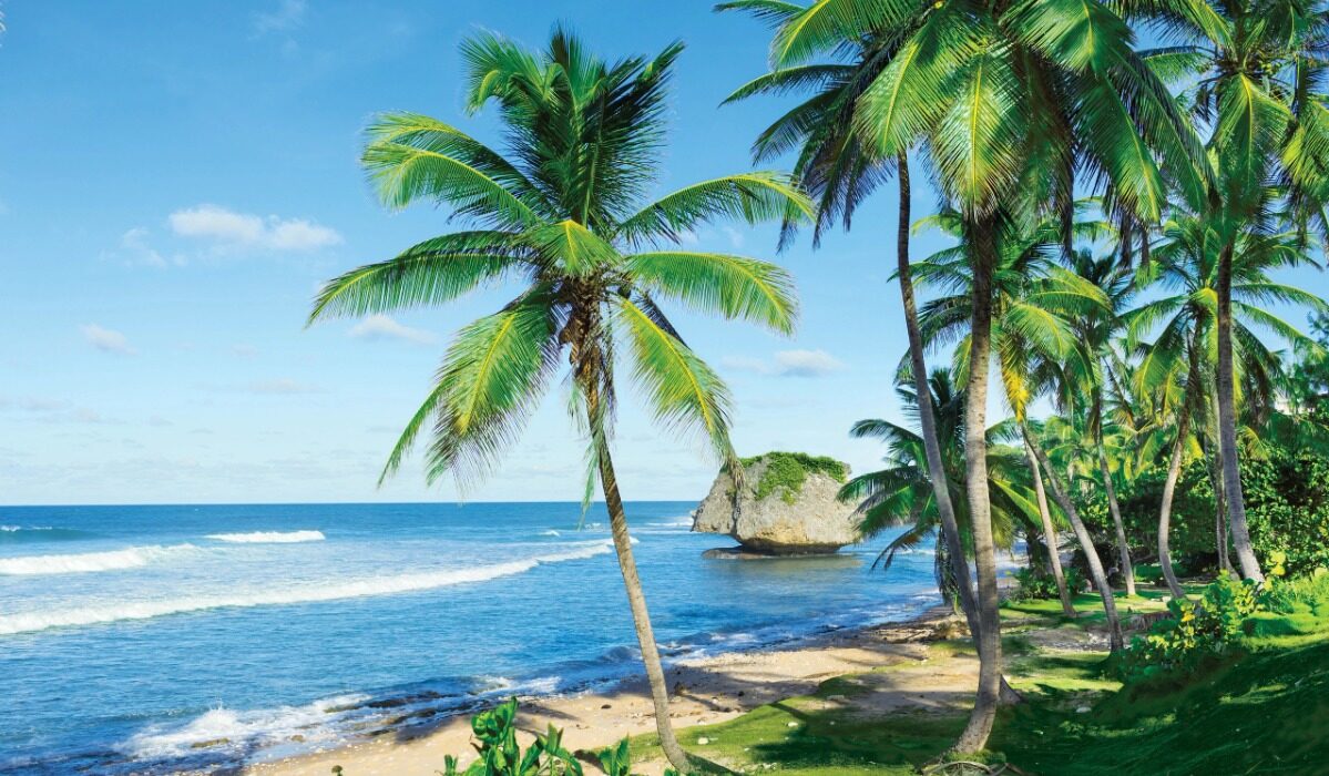 CARIBBEAN CRUISE IN ULTRA LUXURY WITH SILVERSEA - Image 2