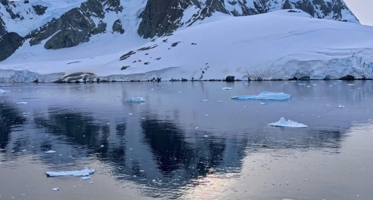 The Great White Continent WIth Seabourn - Image 6