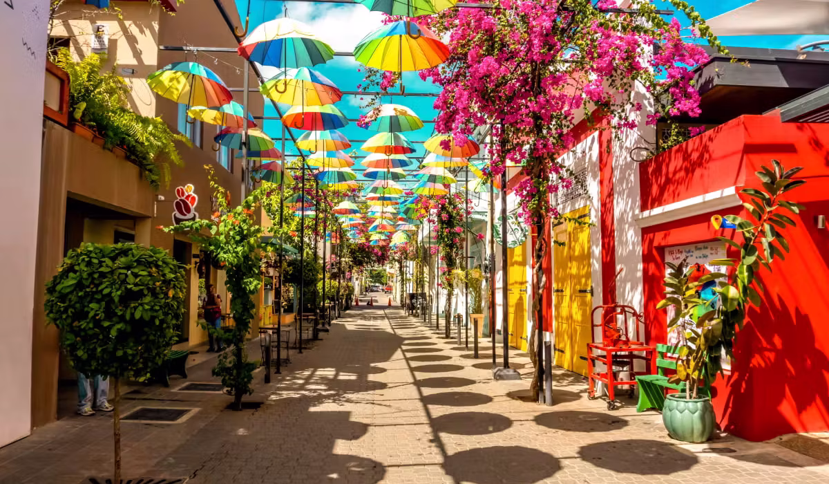 SOUTHERN CARIBBEAN CRUISE & NYC STAY THIS HALLOWEEN - Image 6