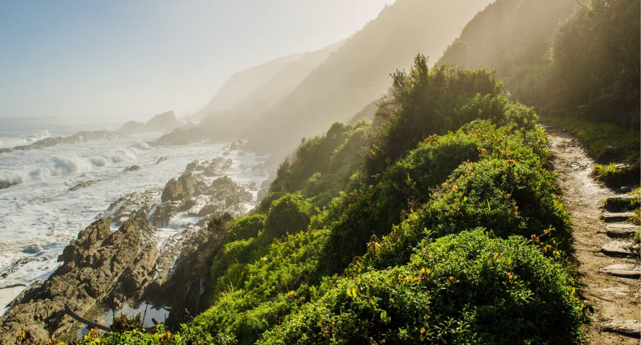 South Africa – Cape Town, Safari and Winelands - Image 3