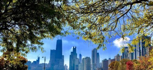 Explore the True Crime History of Chicago USA