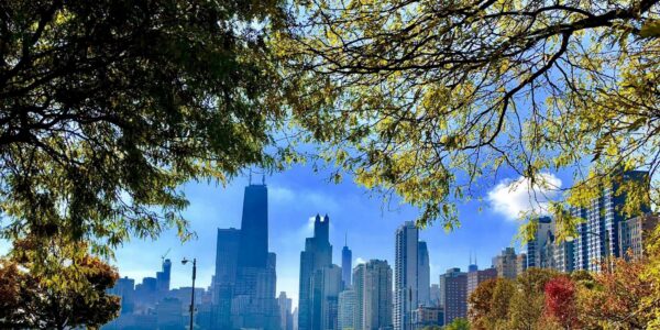 Explore the True Crime History of Chicago USA