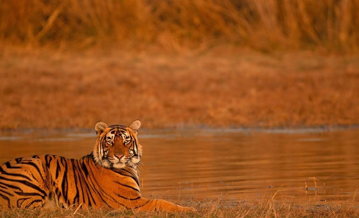 Golden Triangle India Private Tour Break - Image 4