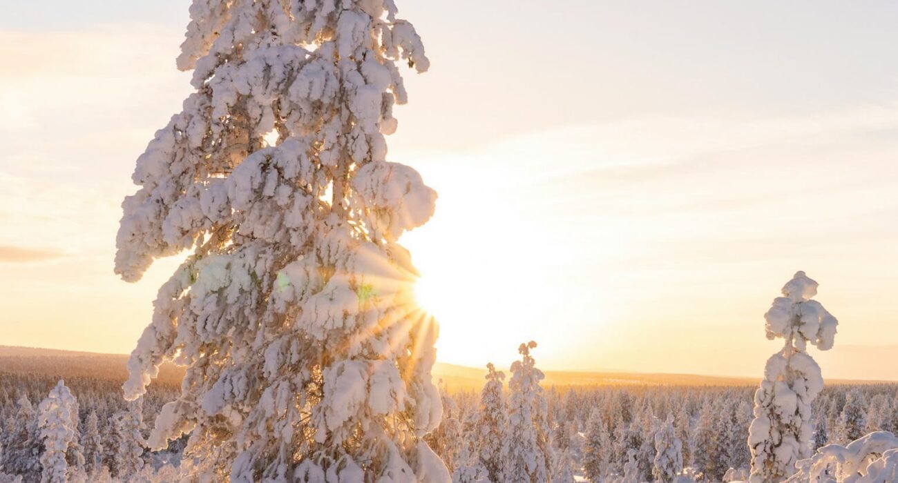 BUCKET LIST Aurora Pyramid Glass Igloos in Lapland - Image 4