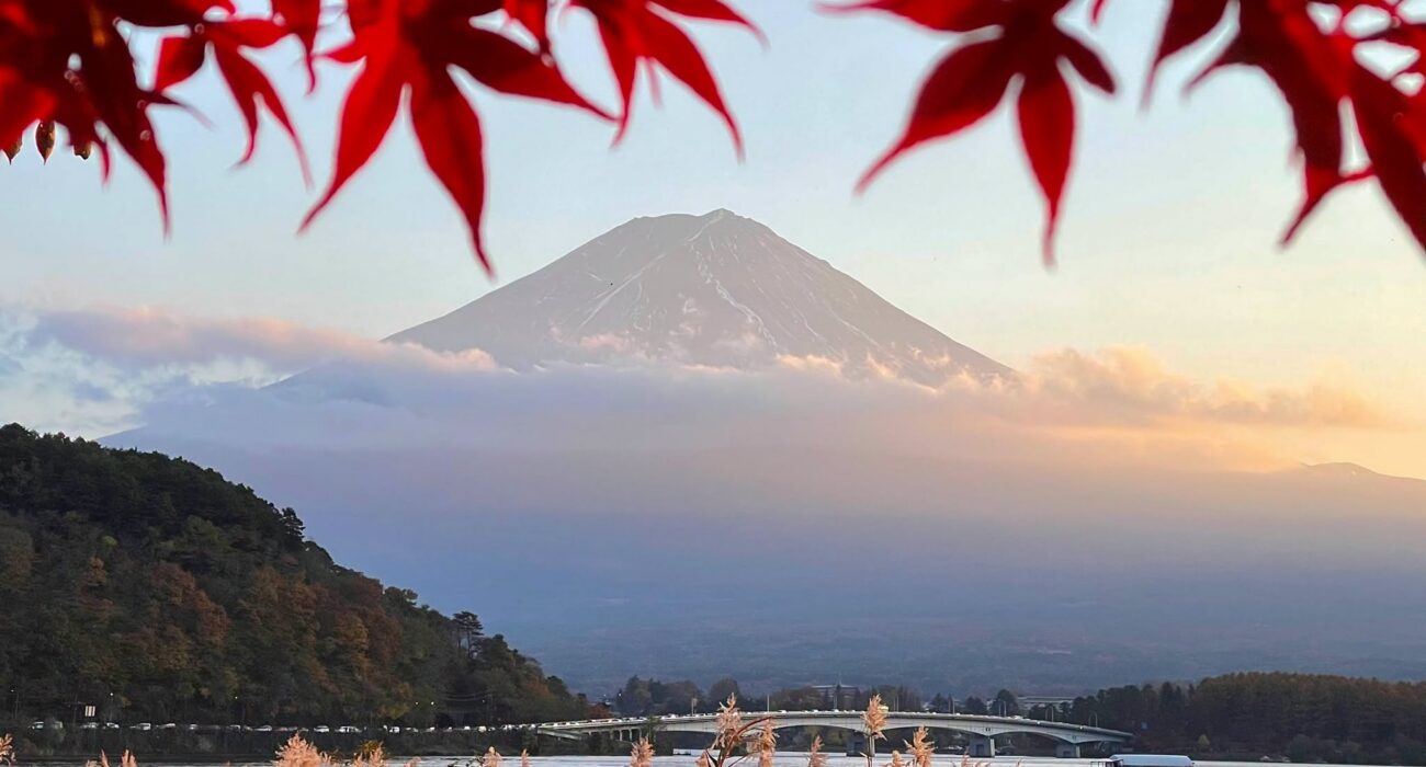 Mid February Multi Centre Break to Japan - Image 2