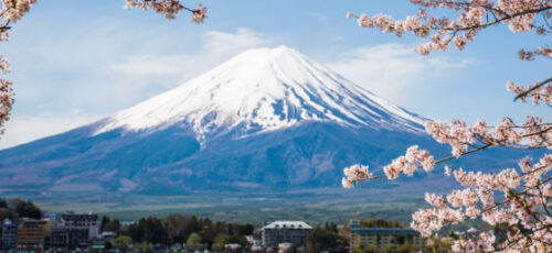 JAPAN MULTI-CENTRE ADVENTURE