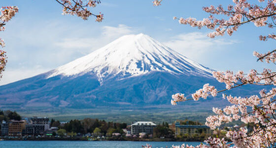 JAPAN MULTI-CENTRE ADVENTURE