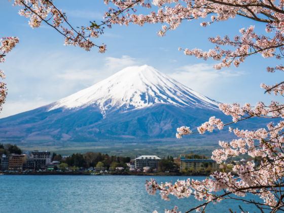 JAPAN MULTI-CENTRE ADVENTURE - Image 1