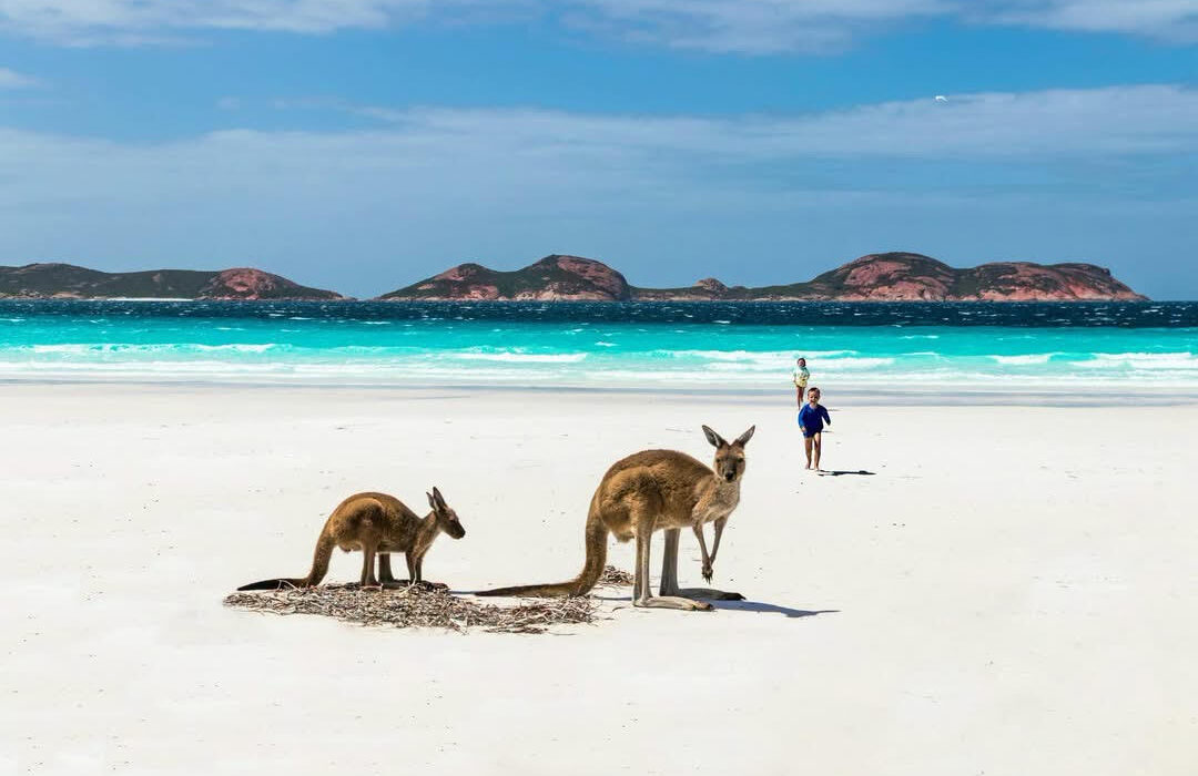 Australia Celebrity Cruise with 5* Sydney Stay - Image 1