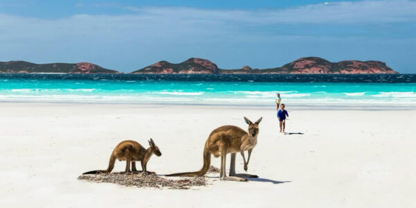 Australia Celebrity Cruise with 5* Sydney Stay