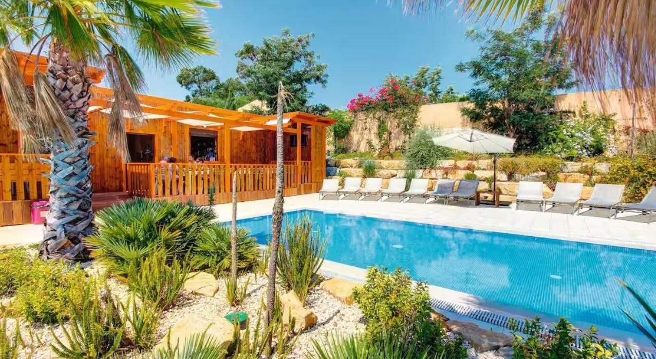 Algarve Portugal Halloween BARGAIN Family Sunshine - Image 5