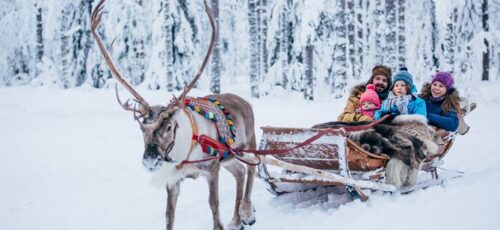 LAPLAND DAY TRIP DECEMBER FROM BELFAST