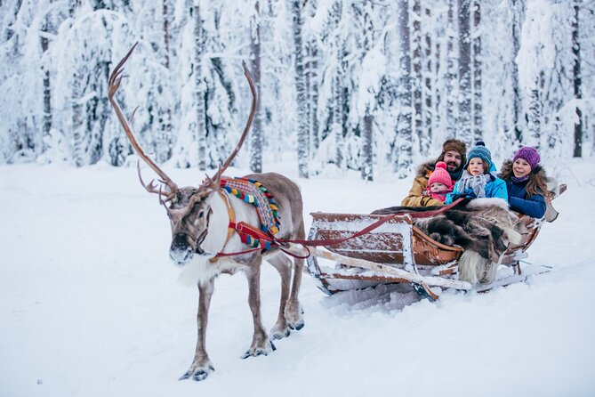 LAPLAND DAY TRIP DECEMBER FROM BELFAST - Image 1