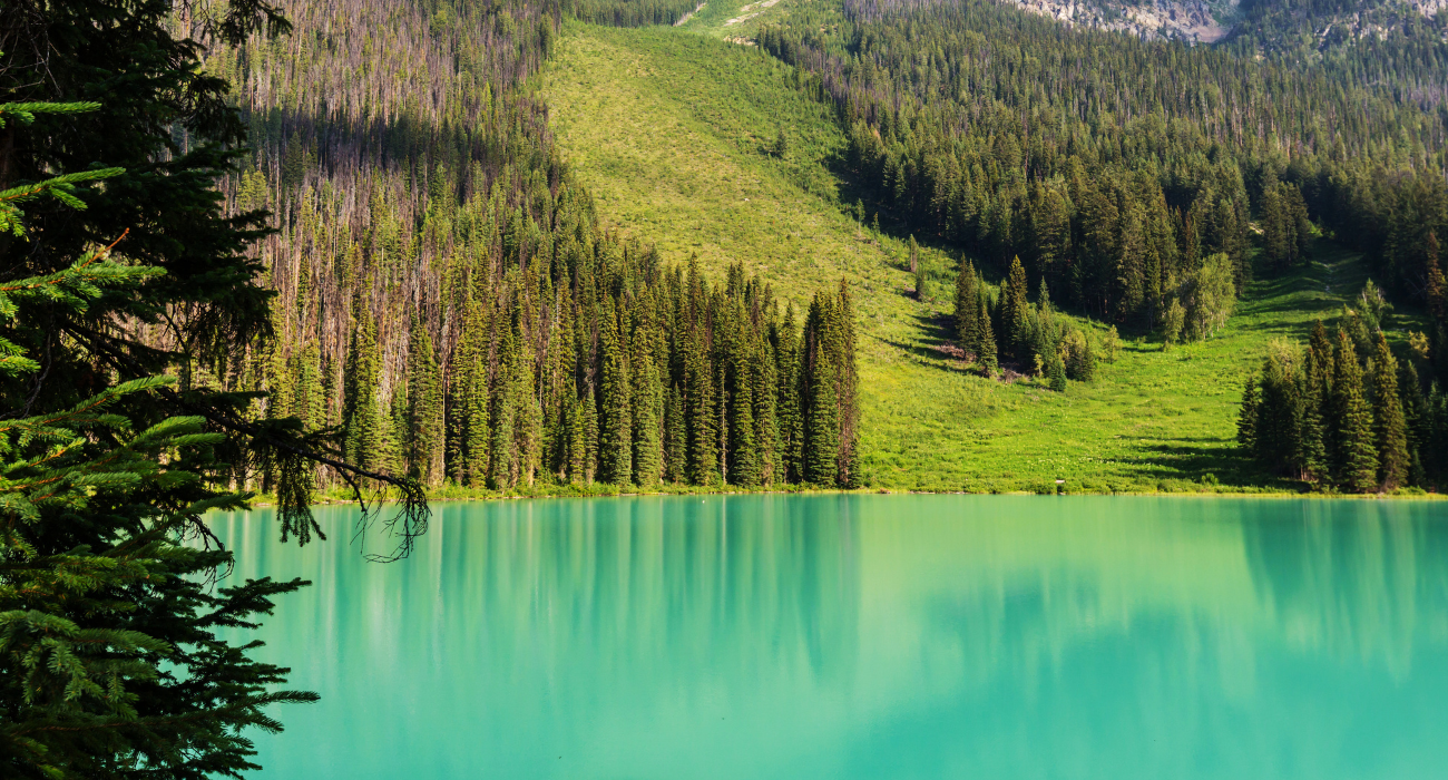 BANFF, EMERALD LAKE, JASPER, LAKE LOUISE & CALGARY - Image 3