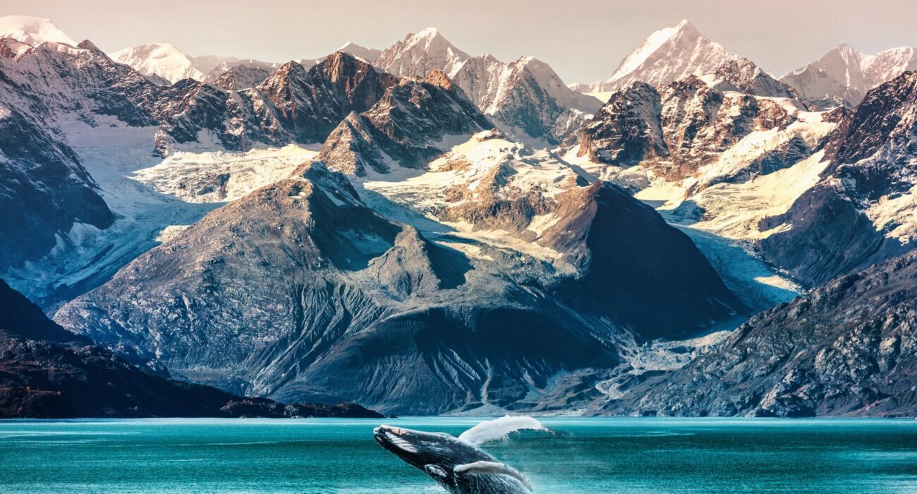Alaska Cruise with Rocky Mountaineer - Image 5