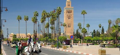 Explore Marrakech – Late November