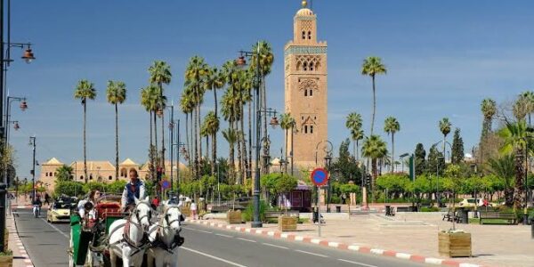 Explore Marrakech – Late November