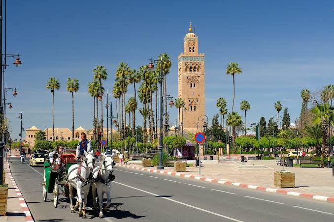 Explore Marrakech – Late November - Image 1