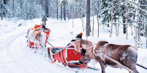Search for Santa on a Lapland Day Trip