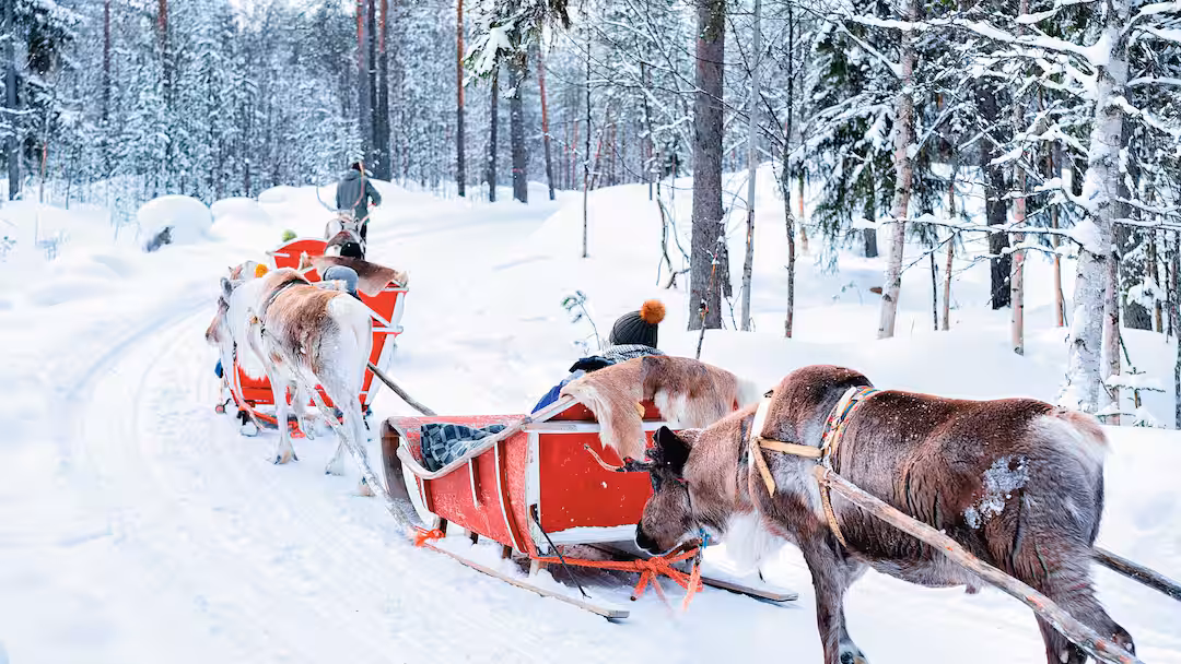 Search for Santa on a Lapland Day Trip - Image 1