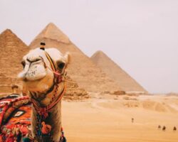 The Wonders of Egypt & Nile Cruise