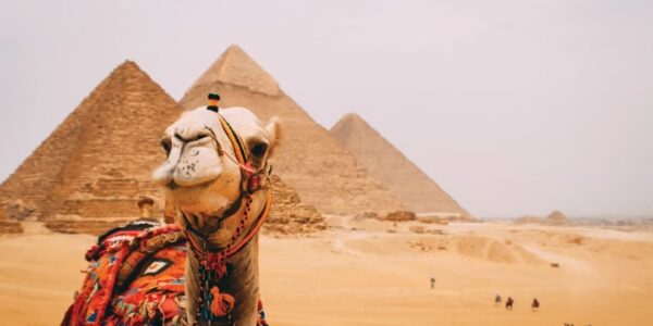 The Wonders of Egypt & Nile Cruise