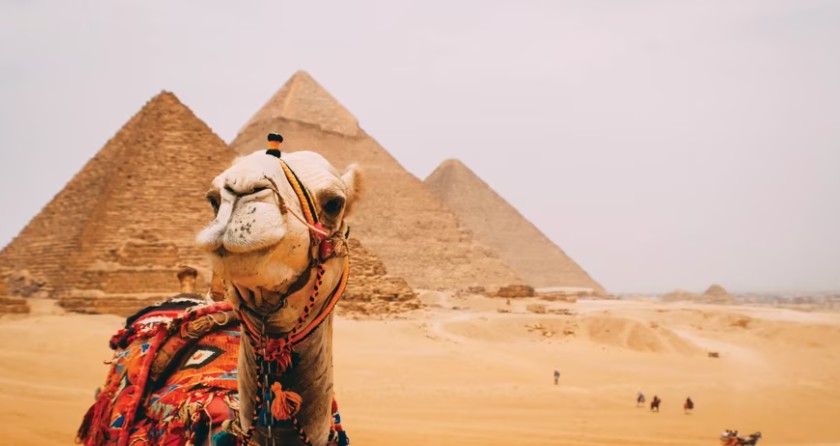 The Wonders of Egypt & Nile Cruise - Image 1
