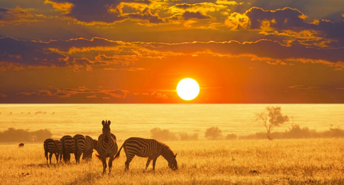 BUCKET LIST: An African Adventure of a Lifetime - Image 1