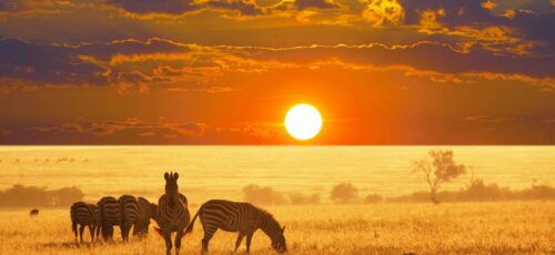 BUCKET LIST: An African Adventure of a Lifetime
