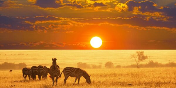 BUCKET LIST: An African Adventure of a Lifetime