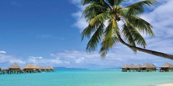 South Pacific, Tahiti and Bora Bora DREAM Trio