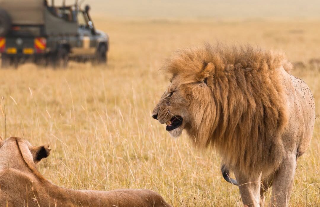 Halloween Value Break to BUCKET LIST South Africa - Image 3