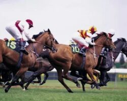 Experience …… Cheltenham in 2027